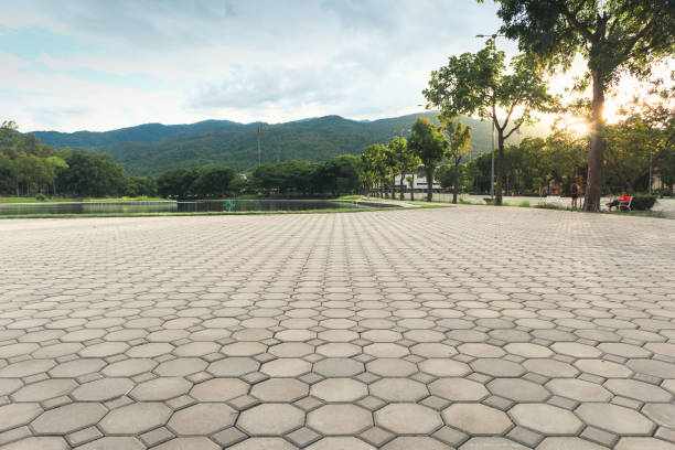 Best Local Driveway Pavers  in Del Mar, CA